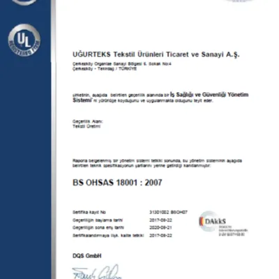 BS OHSAS 18001 : 2007