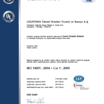 ISO 14001:2004